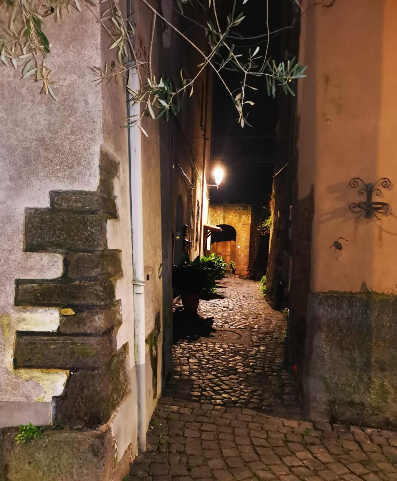 فندق Casa Nena Nepi المظهر الخارجي الصورة